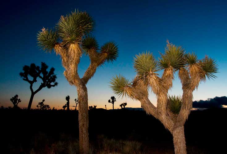 Nature and landscape photography of California by Dave Wilson