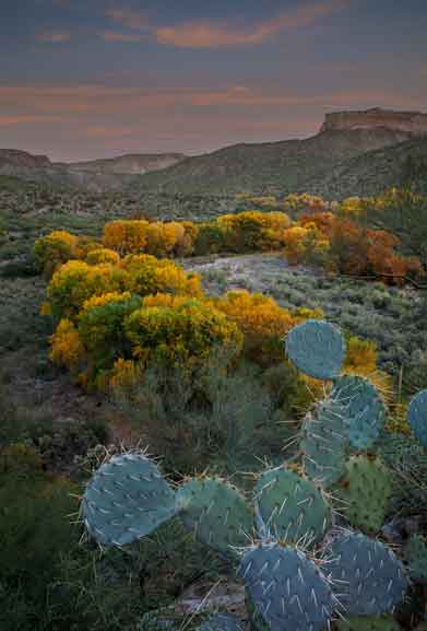 Aravaipa Creek on the edge of the Galiuro Mts. in southern Arizona.