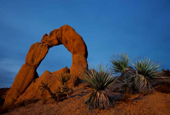 Granite arch and yucca plants in the Arrastra Mountain Wilderness, located in the Poachie Range of western Arizona.