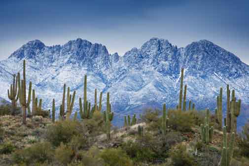 Saguaro cactus beneath snow-covered Four Peaks in the Mazatzal Mts., Arizona
