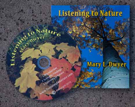 Listening to Nature by Mary Dwyer