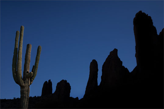 Saguaro in the Superstition Mts., Arizona. The spire at far left is the Praying Hands rock formation.