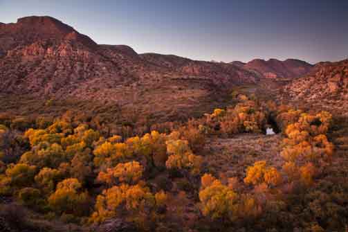 Autumn in the Sycamore Canyon Wilderness, Arizona