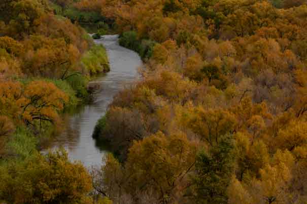 The Verde River in autumn, upriver from Needle Rock.