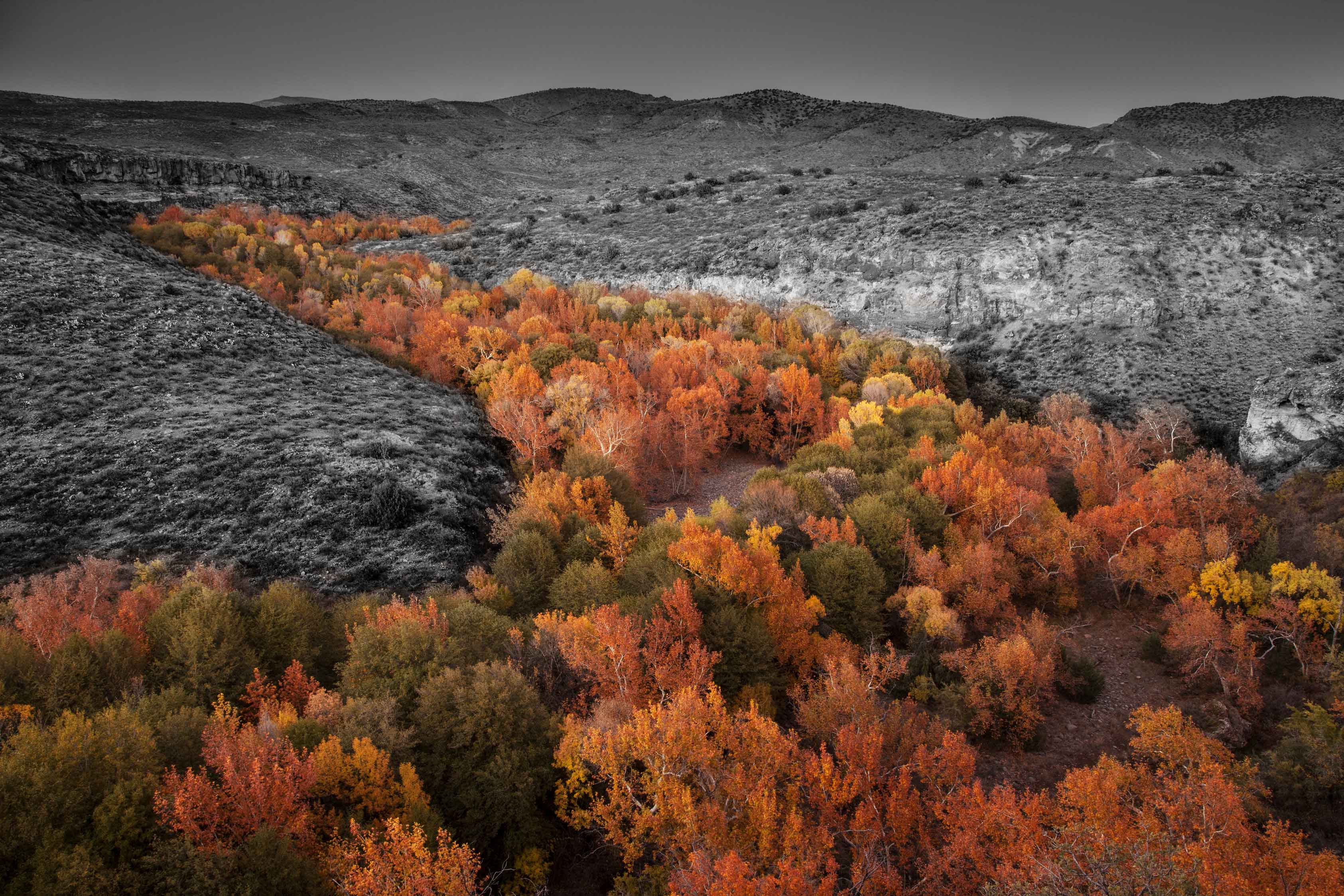 Autumn at West Clear Creek, Arizona