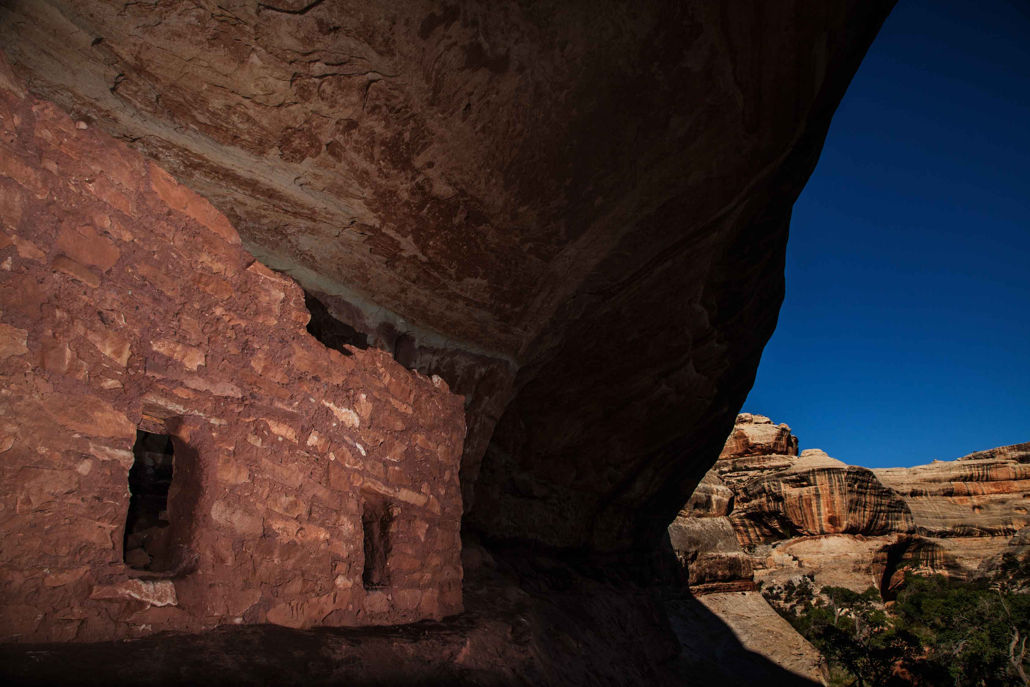 Part of the Horse Collar Ruin, an Ancestral Pueblo cliff dwelling in White Canyon within Natural Bridges National Monument, Utah.