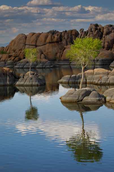 Trees and granite boulders in Watson Lake, Arizona.