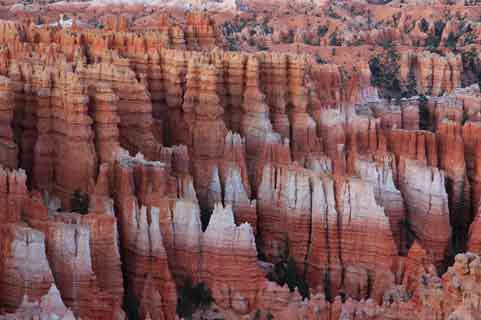 Hoo doos in Bryce Canyon, Utah