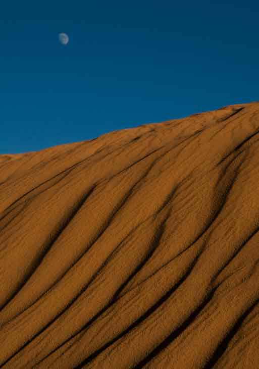 Full moon rising over a sand dune in the high desert near the Navajo community of Kaibito , Arizona