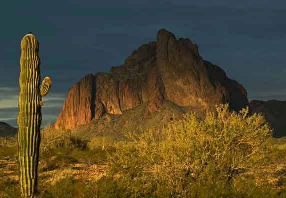 Saguaro cactus in the desert beneath Courthouse Rock on the Eagletail Mts. of southern Arizona