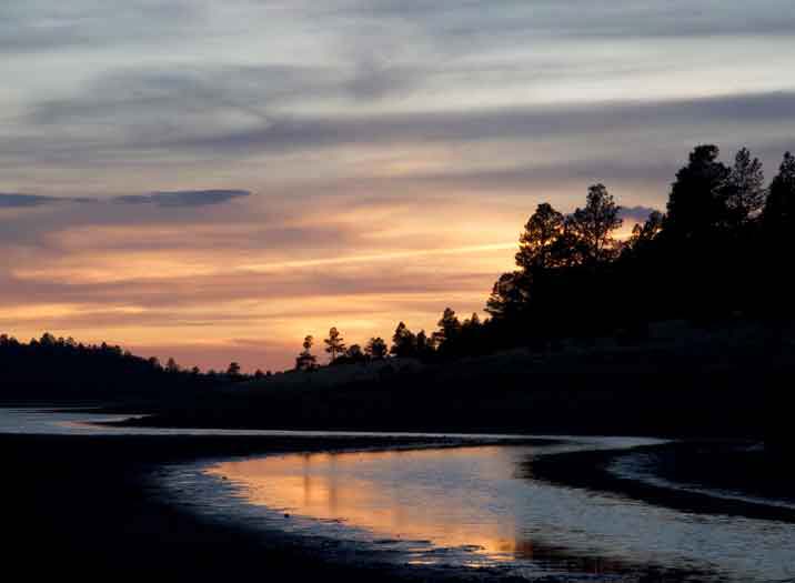 Woods and water at twilight at Lake Mary, northern Arizona