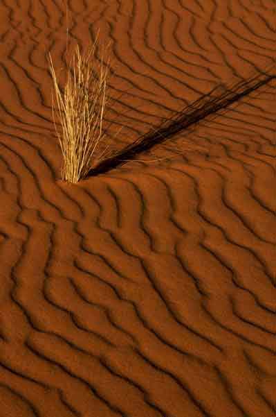 Patterns in the sand on the Arizona side of Lake Powell