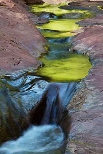 The West Fork of Oak Creek, Arizona, reflecting nearby green trees