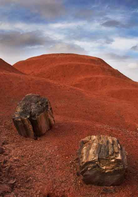 Petrified wood at Petrified Forest National Park, Arizona