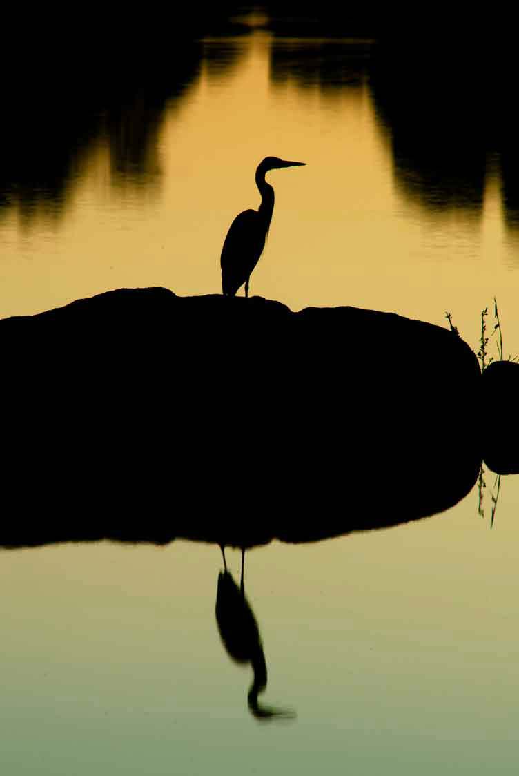Watson Lake on the edge of Prescott, Arizona