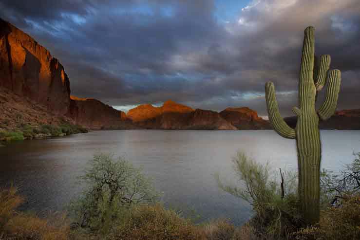 A saguaro cactus at Canyon Lake, Arizona during a very cloudy sunset