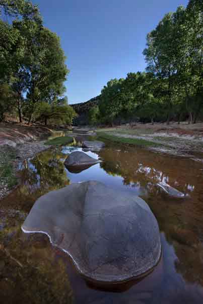 Springtime along Carrizo Creek on the Fort Apache Reservation, Arizona.