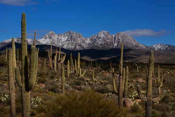 Four Peaks in the Mazatzal Mts. of Arizona