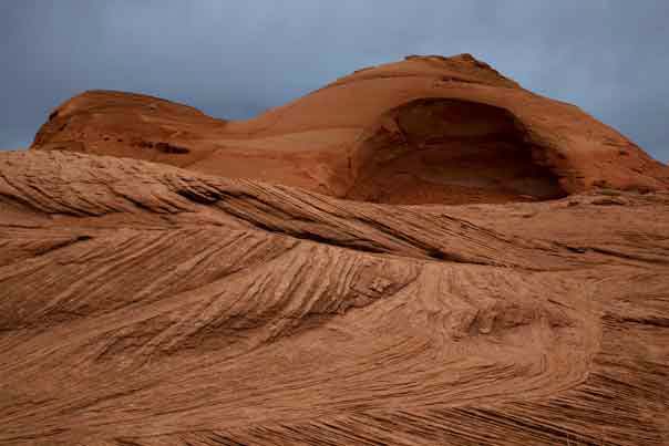 Animal tracks in the sand on the Arizona side of Lake Powell