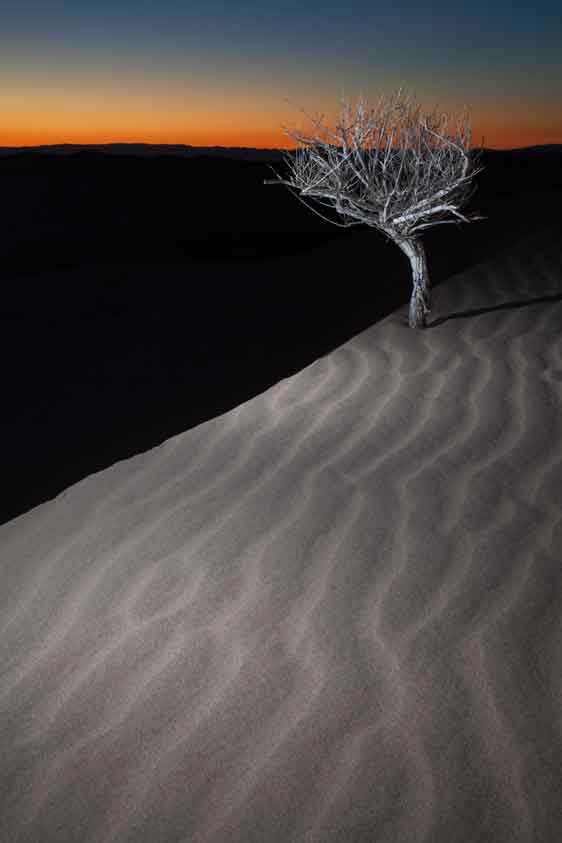 Imperial Sand Dunes (a.k.a., Glamis Dunes or Algodones Dunes) in the southern California desert