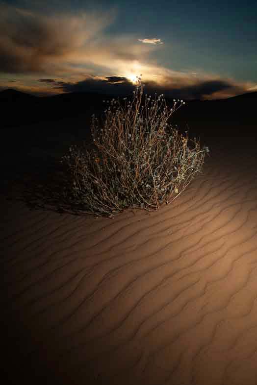 Imperial Sand Dunes (a.k.a., Glamis Dunes or Algodones Dunes) in the southern California desert