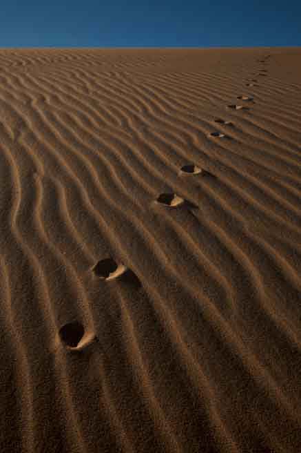 Imperial Sand Dunes (a.k.a., Glamis Dunes or Algodones Dunes) in the southern California desert