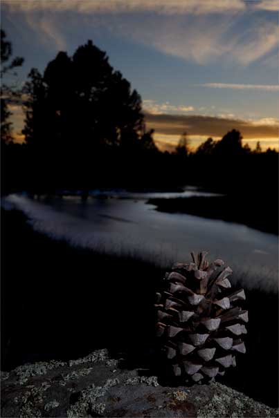 Twilight at Isham Spring, northern Arizona.