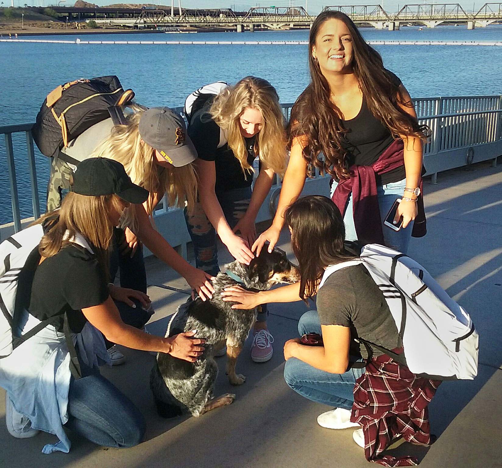 Jessee the Three-Legged Cowgirl at Tempe Town Lake