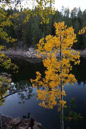 Knoll Lake on the Mogollon Rim, Arizona