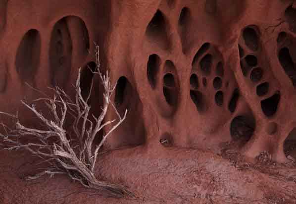 Stick and rock formations in the sandstone in the high desert of northern Arizona