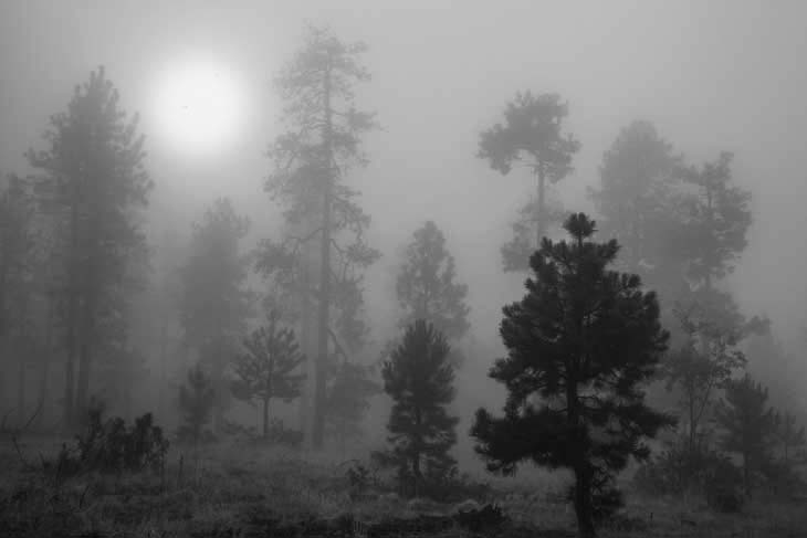 Mogollon Rim, Arizona