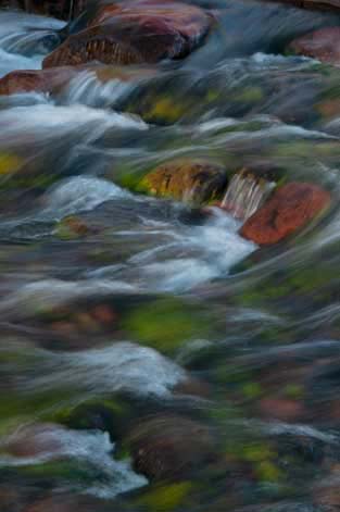 Rapids in Oak Creek, Arizona (near Sedona)