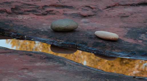 Puddle along Oak Creek reflecting nearby trees in autumn