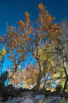 Boynton Canyon on the Coconino National Forest, Arizona (Sedona region)