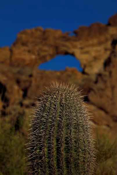 A saguaro beneath the "Ajo Window" at Organ Pipe Cactus National Monument, Arizona.