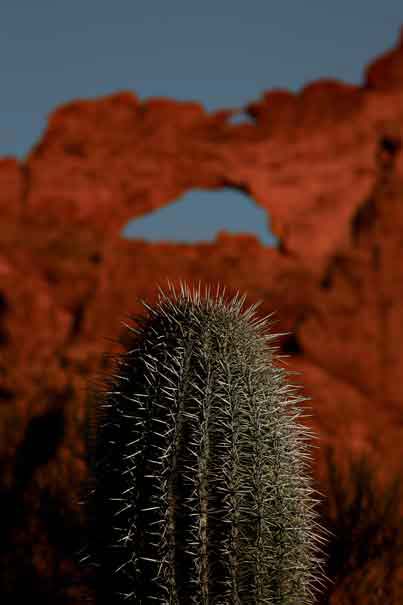 A saguaro beneath the "Ajo Window" at Organ Pipe Cactus National Monument, Arizona.