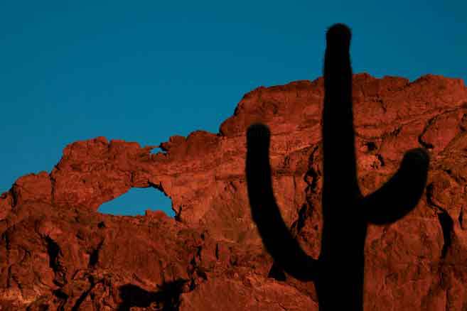 A silhouette of a saguaro beneath the "Ajo Window" at Organ Pipe Cactus National Monument, Arizona.