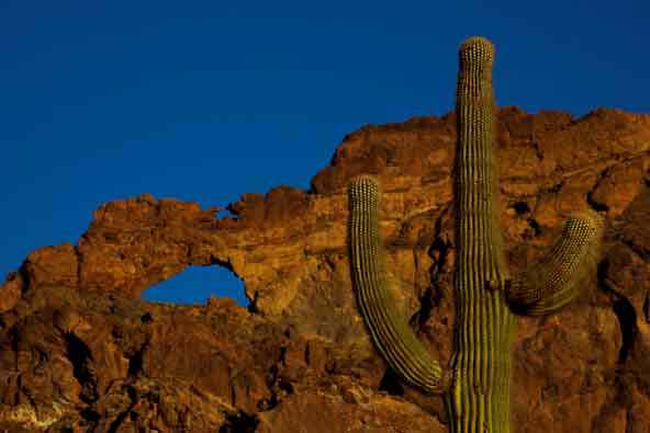 A saguaro beneath the "Ajo Window" at Organ Pipe Cactus National Monument, Arizona.