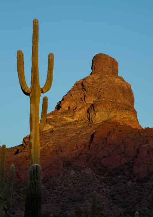 The Montezuma's Head rock formation towers above a saguaro at Organ Pipe Cactus National Monument.