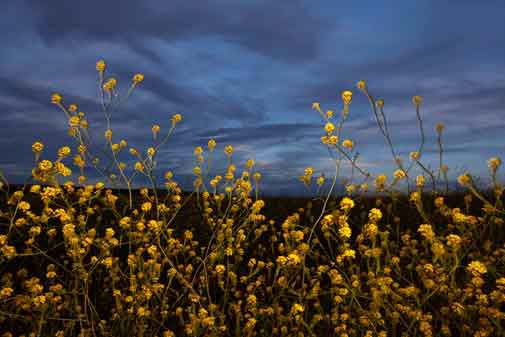 Perry Mesa (Agua Fria National Monument), Arizona