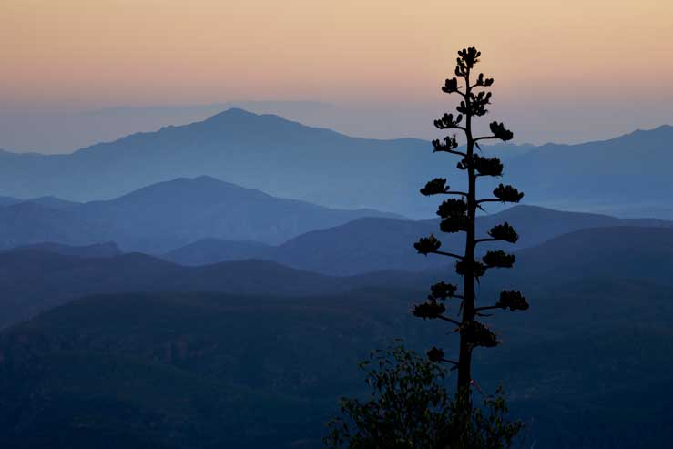 From Promontory Butte at the edge of the Mogollon Rim looking south, with a century plant in the foreground.