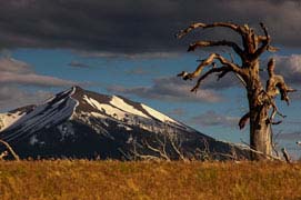 The San Francisco Peaks near Flagstaff in northern Arizona