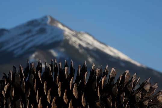 Humphrey's Peak as seen from a pinecone about 7 miles northwest of the San Francisco Peaks in northern Arizona.
