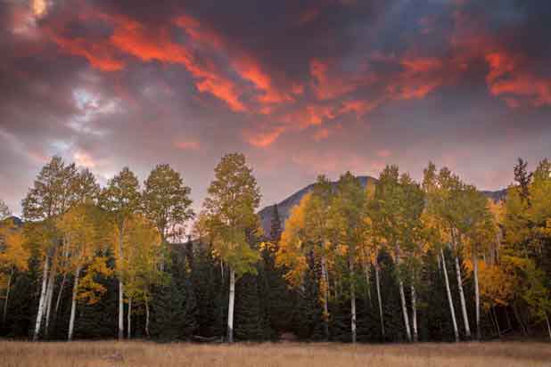 Autumn at the Inner Basin in the San Francisco Peaks of northern Arizona