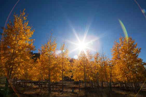 San Francisco Peaks, Arizona