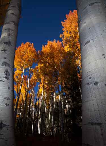 Kachina Trail, Arizona
