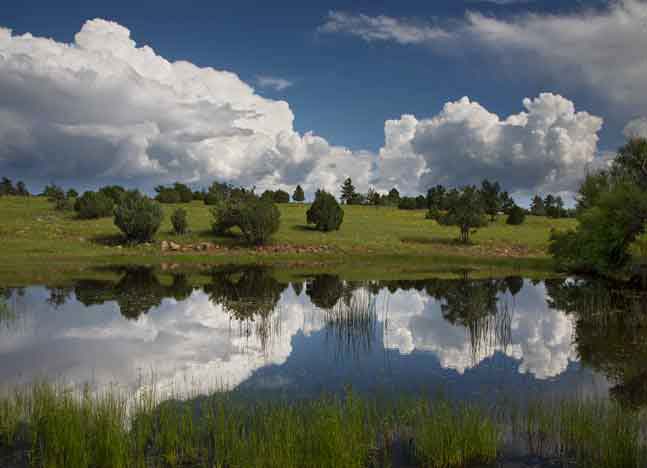 Raric Tank on the Coconino National Forest, Arizona