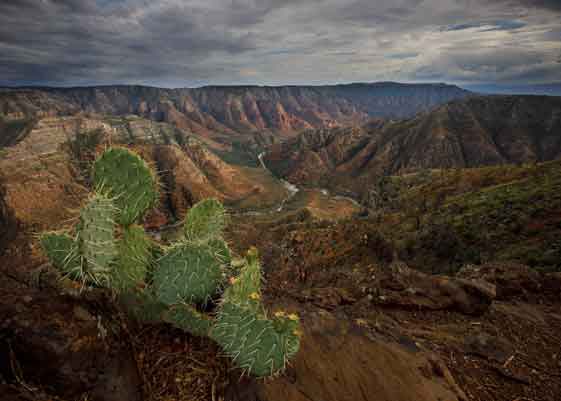 Upper Sycamore Canyon, from Sycamore Point in northern Arizona.