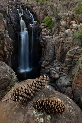 "North" Sycamore Falls in northern Arizona.
