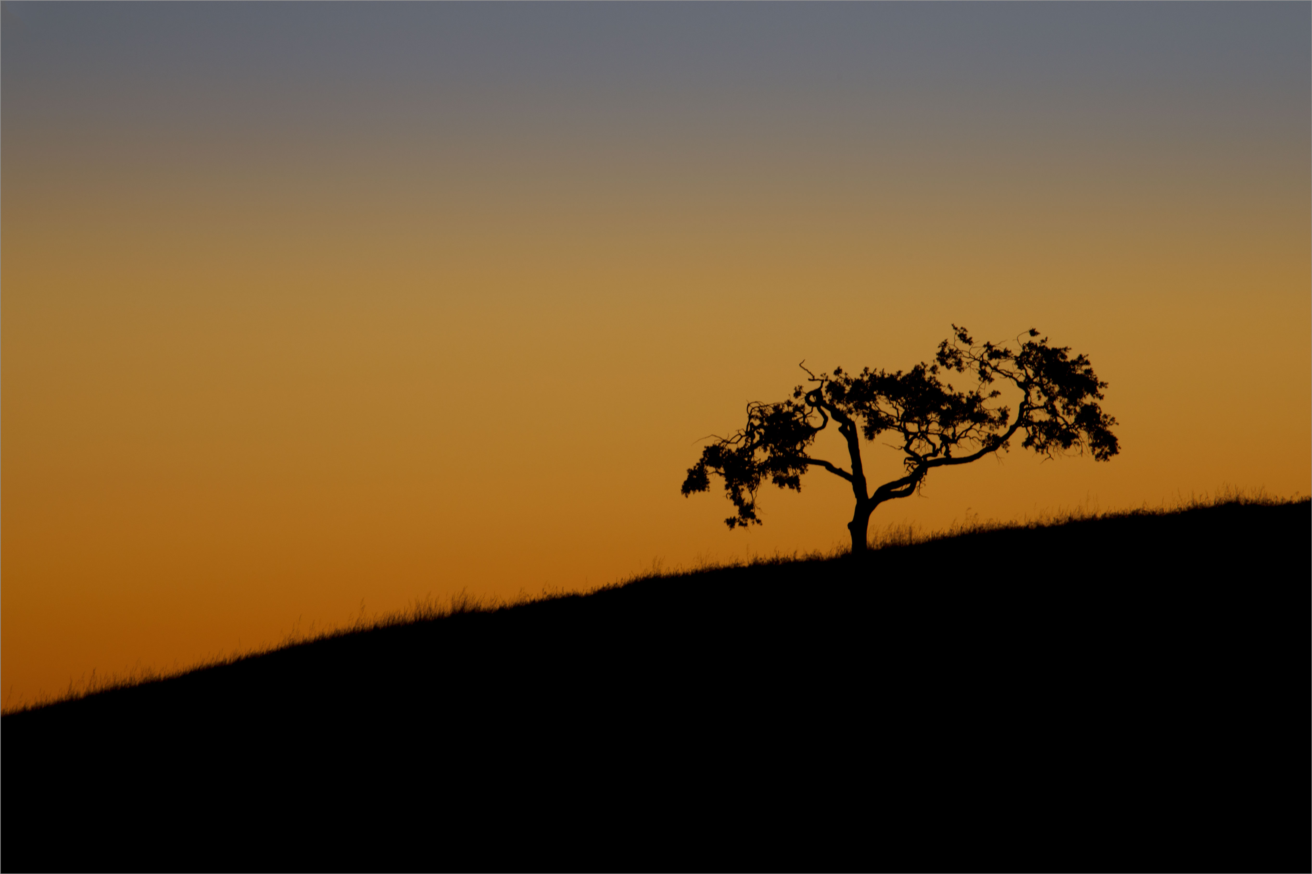 Sunset in the Tejon region of south-central California (about 80 miles inland).